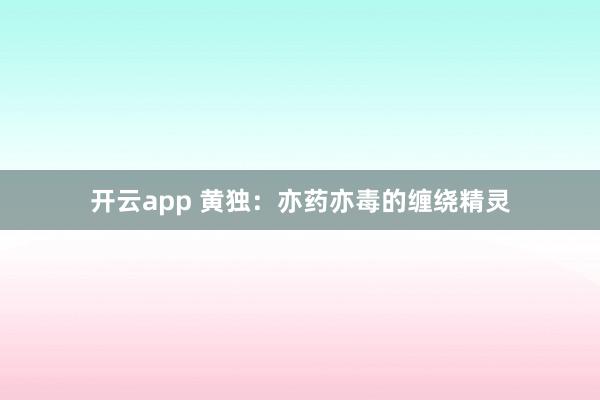 开云app 黄独：亦药亦毒的缠绕精灵