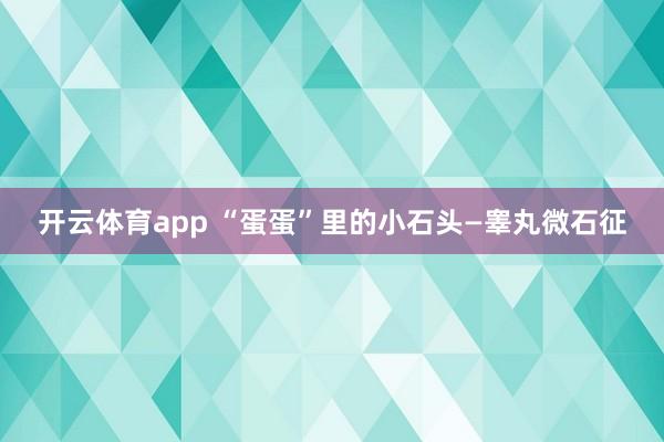 开云体育app “蛋蛋”里的小石头—睾丸微石征